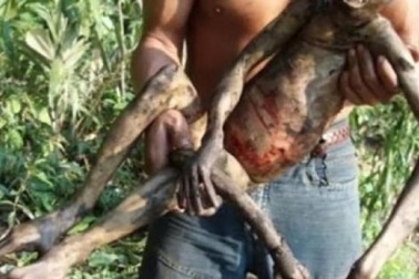 Những sinh vật kỳ lạ giống người đáng sợ nhất hành tinh