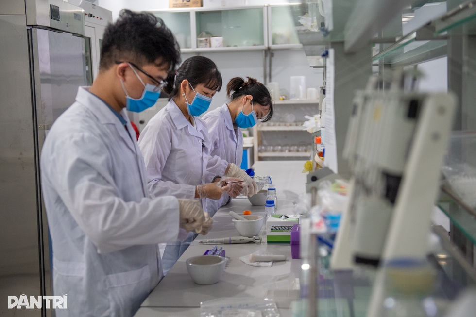 Giải mã gen tìm tầm vóc của cây lúa Việt trong kỷ nguyên mới