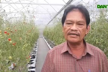 Ông nông dân ở Bình Định "rót" tiền tỷ vào rừng vì một lý do