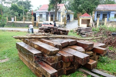 Vụ phá rừng Bà Nà – Núi Chúa: Chuyển tội danh 2 cán bộ kiểm lâm 