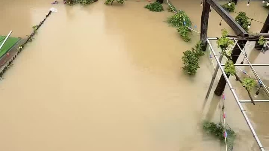 Lũ về bất ngờ, chủ trại cá Koi lo lỗ hàng trăm triệu đồng