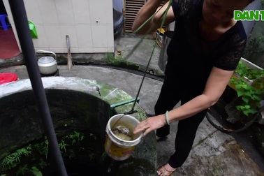 Mục sở thị giếng cổ có tuổi đời trăm năm giữa lòng Hà Nội