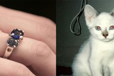 Hốt bạc nhờ biến thú cưng thành… kim cương