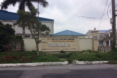 “Đại gia” Tòng Thiên Mã bị truy tố tội lừa đảo chiếm đoạt tài sản