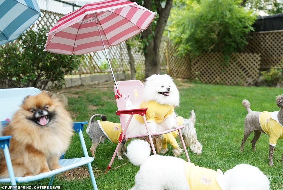 Phát sốt với những khoảnh khắc đốn tim - 4 Phát sốt với những khoảnh khắc đốn tim - 4