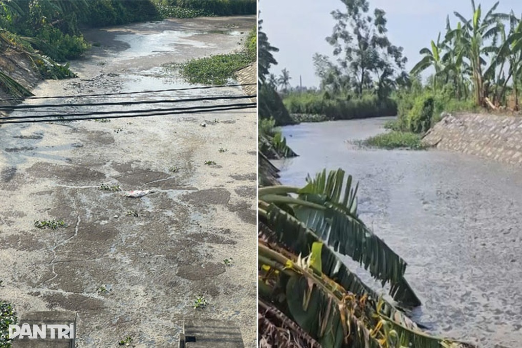 Mương nước gần trại lợn ở Hải Phòng ô nhiễm do rò rỉ hầm biogas? - 1 Mương nước gần trại lợn ở Hải Phòng ô nhiễm do rò rỉ hầm biogas? - 1