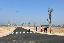 Lộ thời điểm giao dịch đất nền năm 2022 giảm mạnh nhất và tăng mạnh nhất