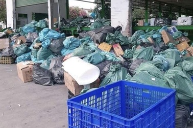 Nóng và lạnh thị trường chuyển phát nhanh mùa dịch