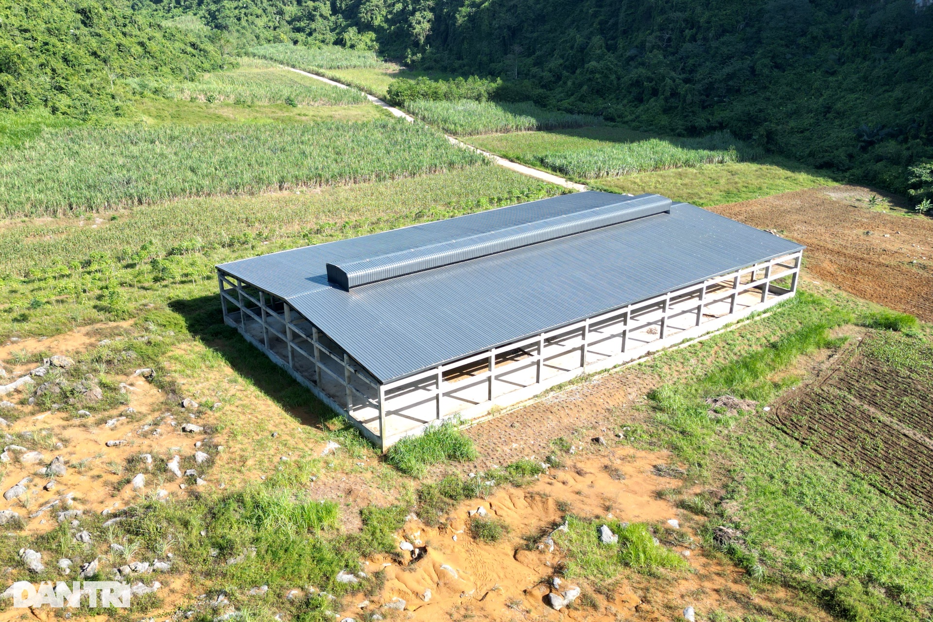 Khu nhà kiên cố rộng cả nghìn m2 bị bỏ hoang giữa núi rừng - 7 Khu nhà kiên cố rộng cả nghìn m2 bị bỏ hoang giữa núi rừng - 7