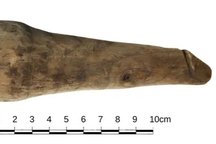 Bất ngờ với món cổ vật 2.000 tuổi nghi là "đồ chơi người lớn" thời cổ đại