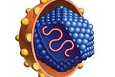 Những quan niệm sai lầm về viêm gan C