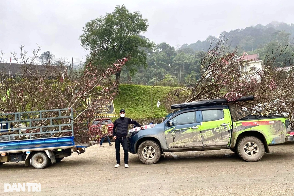 Thương lái Việt vượt hơn 400km săn đào đá độc lạ ở Lào bán Tết - 7 Thương lái Việt vượt hơn 400km săn đào đá độc lạ ở Lào bán Tết - 7