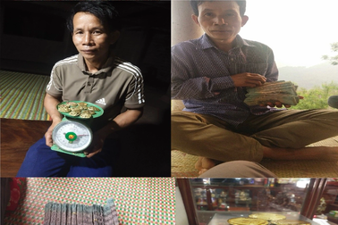 Một người tử vong do tham gia khai thác vàng trái phép