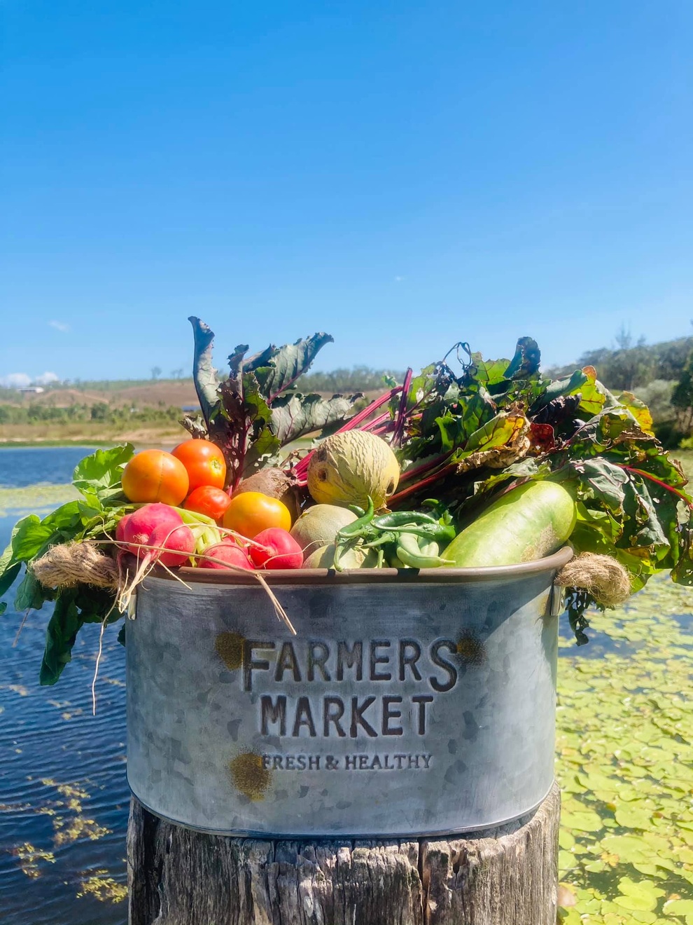 Nông trại 4ha đẹp như mơ của cặp đôi bỏ thành thị về quê - 4