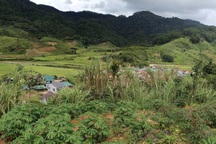 Vết nứt dài xuất hiện trên đỉnh đồi, 54 người được sơ tán khẩn cấp