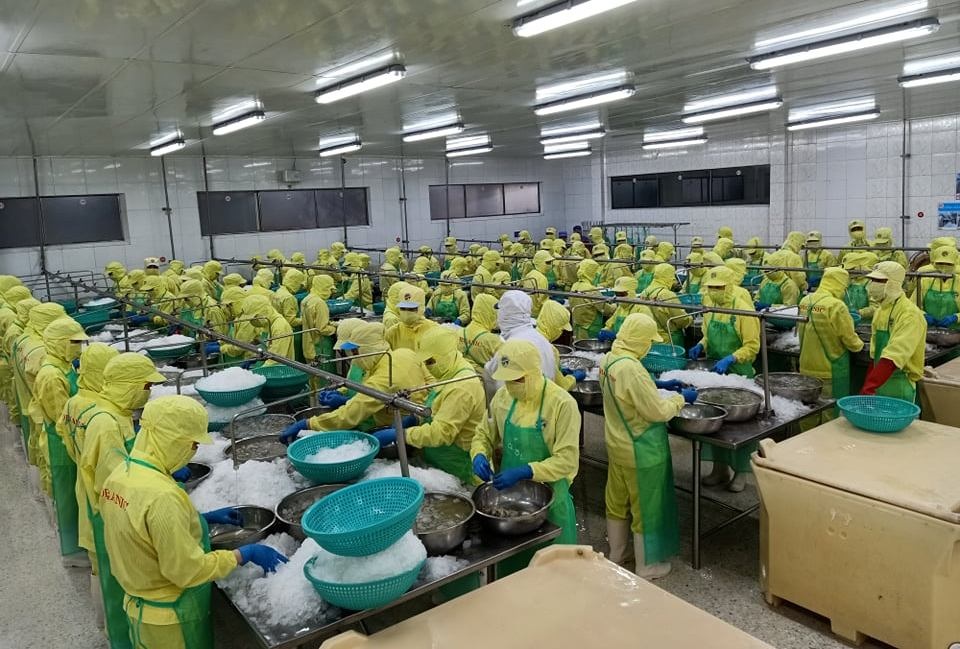 Cà Mau: Thưởng Tết Nguyên đán Tân Sửu 2021 cao nhất 46 triệu đồng - 1 Cà Mau: Thưởng Tết Nguyên đán Tân Sửu 2021 cao nhất 46 triệu đồng - 1