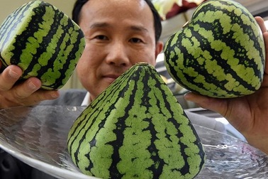 Quả dưa đắt tiền hơn 1 chiếc ô tô và 11 thực phẩm đắt giá nhất thế giới