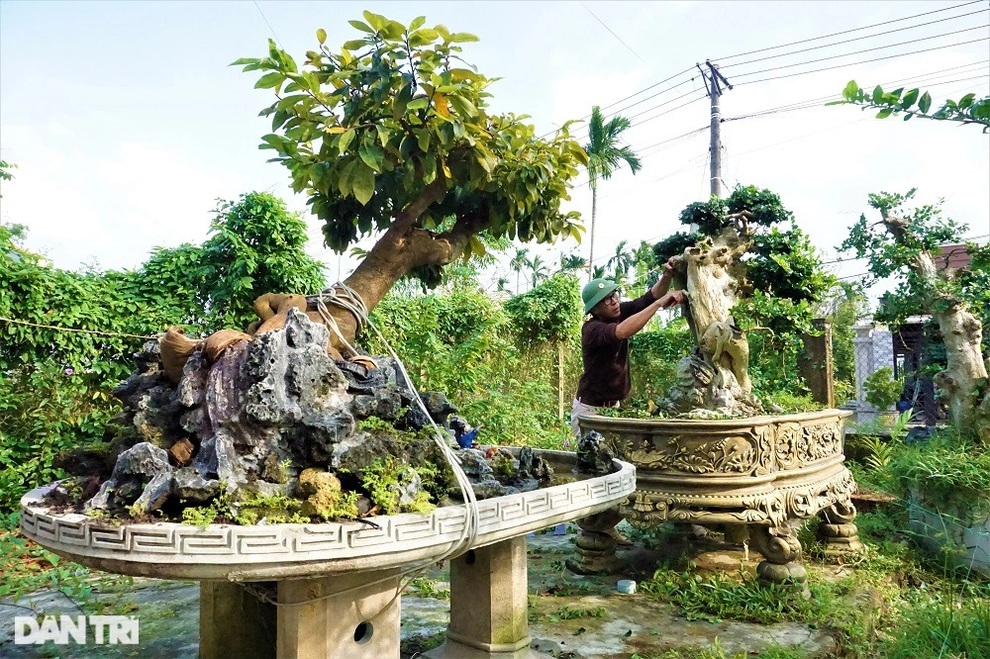 Người thổi hồn vào những gốc duối, ổi, me, bồ đề - 8 Người thổi hồn vào những gốc duối, ổi, me, bồ đề - 8