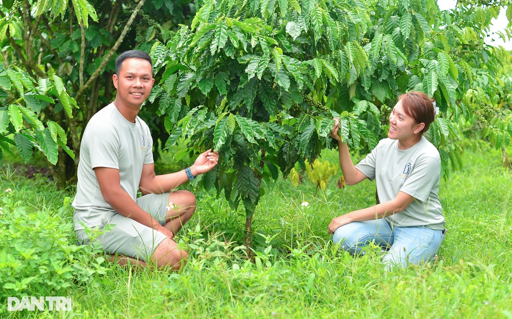 Rời phố về quê, cặp vợ chồng trẻ làm nên chuyện với 110ha cà phê cha giao - 1 Rời phố về quê, cặp vợ chồng trẻ làm nên chuyện với 110ha cà phê cha giao - 1