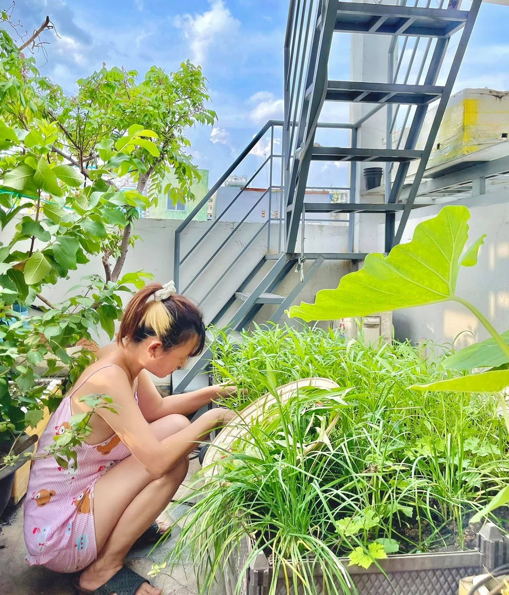 Vợ chồng tại TPHCM biến nóc nhà thành siêu thị nông sản ngập rau trái - 11