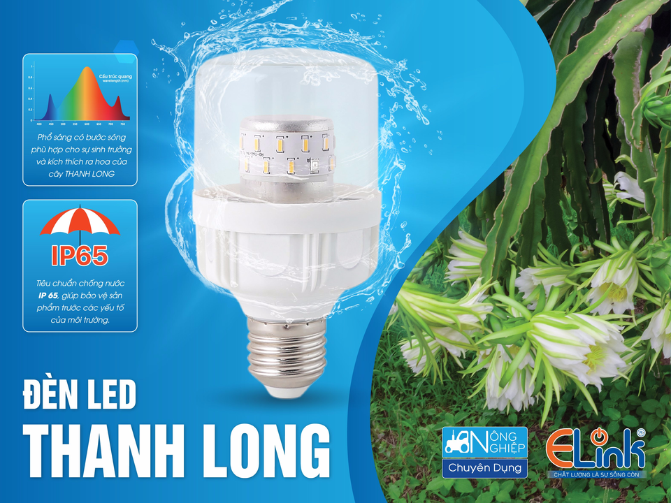 Đèn LED Solar Elink tri ân khách hàng năm 2020 - 2 Đèn LED Solar Elink tri ân khách hàng năm 2020 - 2