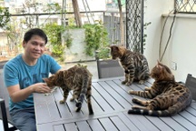 Trọng Tấn thú nhận "sợ vợ", mê nuôi mèo và trồng cây sau ánh đèn sân khấu