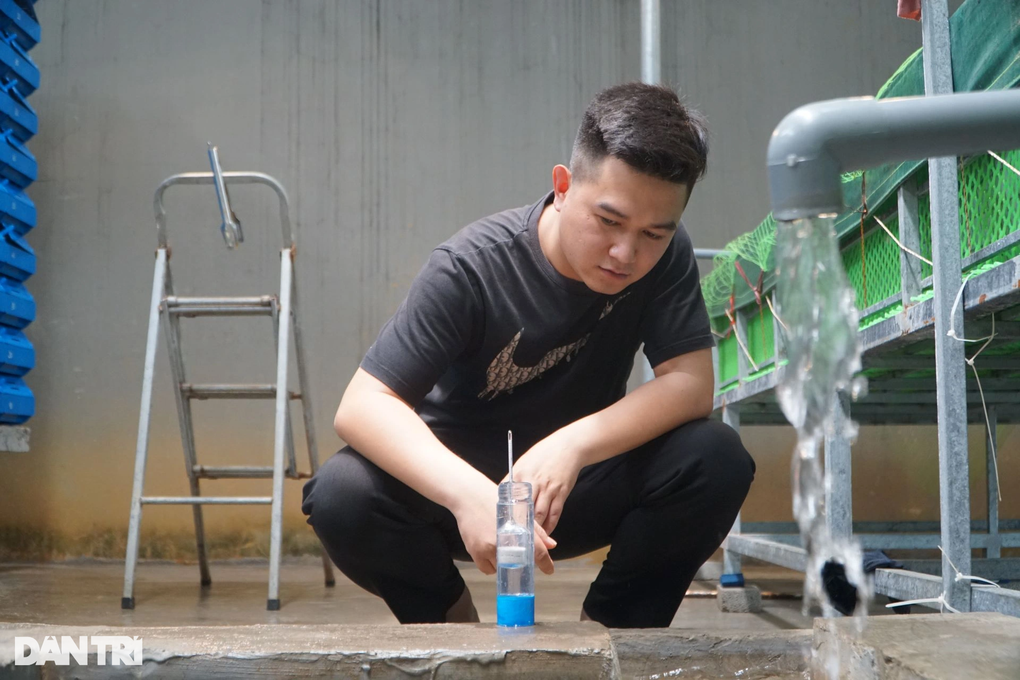 Đưa nước biển lên núi nuôi cua độc thân, kiếm 50 triệu đồng/tháng - 6 Đưa nước biển lên núi nuôi cua độc thân, kiếm 50 triệu đồng/tháng - 6
