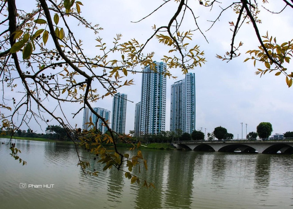 Giảng viên đại học gây bão với những bức ảnh chụp tại thành phố xanh - 3