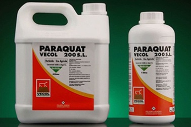 Hai chị em uống thuốc diệt cỏ tự tử vì bị đổ tội ăn cắp