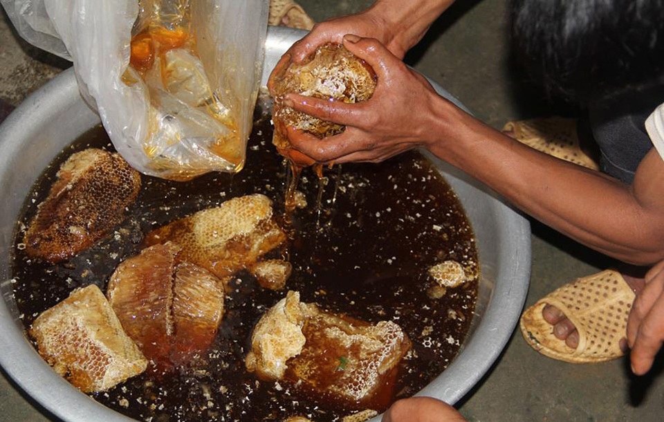 Phân biệt mật ong thật – giả: Không thể đánh giá bằng cảm quan bên ngoài - 2 Phân biệt mật ong thật – giả: Không thể đánh giá bằng cảm quan bên ngoài - 2