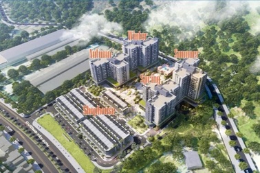 Bất động sản Quy Nhơn và cơ hội trước chu kỳ tăng trưởng mới