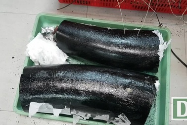 Ngà voi nguỵ trang trong thùng tôm hùm vận chuyển qua sân bay