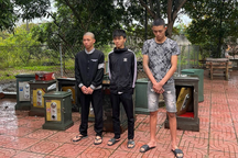 Thiếu niên 14 tuổi cùng đàn anh thực hiện hàng loạt vụ trộm két sắt