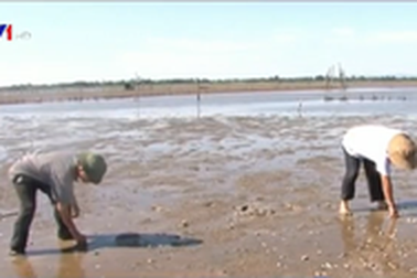 Ngư dân Hà Tĩnh khốn đốn sau thảm họa môi trường do Formosa