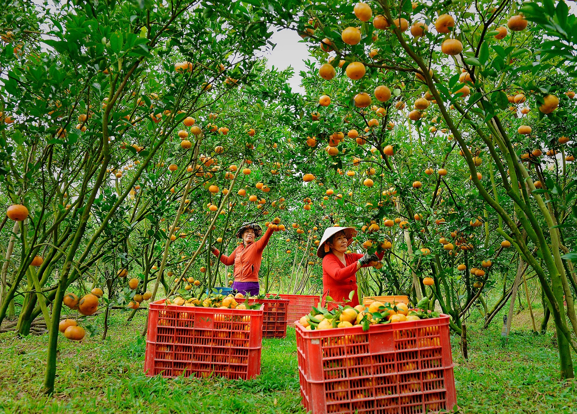 Nét đẹp lao động Tết: Cuộc thi ảnh của báo Dân trí thu hút đông đảo tác giả - 16 Nét đẹp lao động Tết: Cuộc thi ảnh của báo Dân trí thu hút đông đảo tác giả - 16