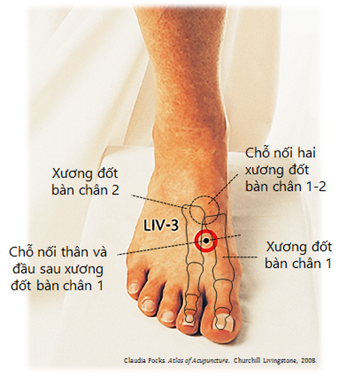 Stress hậu Covid-19, hãy thiền 5 phút mỗi ngày - 3 Stress hậu Covid-19, hãy thiền 5 phút mỗi ngày - 3