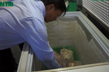 Sau vụ phát hiện thịt, cá bẩn: Thanh tra hàng loạt bếp ăn trong trường học