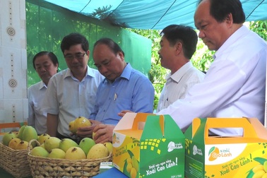 Thủ tướng đánh giá cao Đề án Tái cơ cấu nông nghiệp của Đồng Tháp