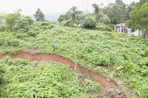 Vết nứt núi lớn đe dọa cắt đứt tuyến tỉnh lộ ở Lào Cai