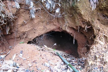 Sập hầm khai thác đá, 3 người tử vong