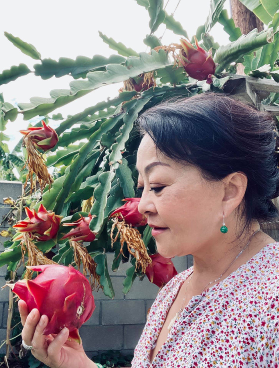 Chiêm ngưỡng nhà vườn 1.000m2 của danh ca Hương Lan và chồng kĩ sư tại Mỹ - 13 Chiêm ngưỡng nhà vườn 1.000m2 của danh ca Hương Lan và chồng kĩ sư tại Mỹ - 13