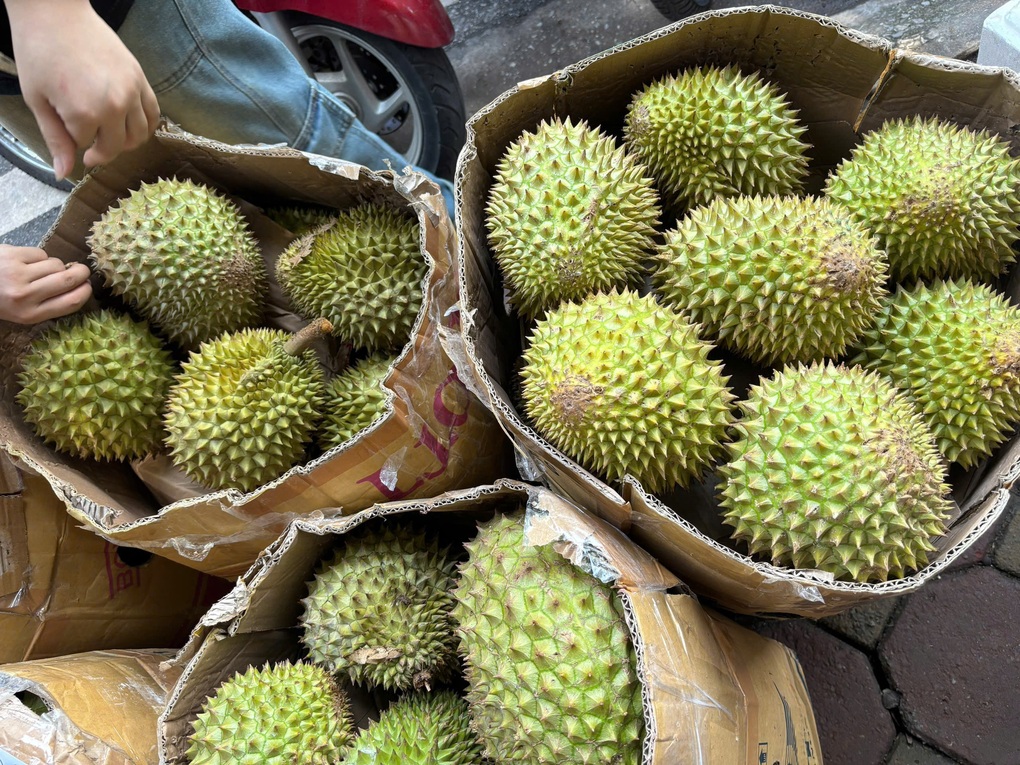Sầu riêng giá từ 35.000 đồng/kg cháy hàng ở Hà Nội - 1 Sầu riêng giá từ 35.000 đồng/kg cháy hàng ở Hà Nội - 1
