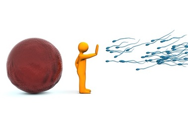 Khi nào thuốc tránh thai khẩn cấp uống cũng như không?