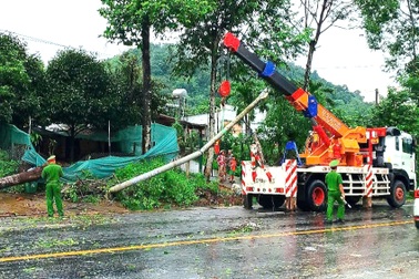 Cây cổ thụ, cột đèn đổ ập xuống đường trong cơn mưa lớn ở Lâm Đồng