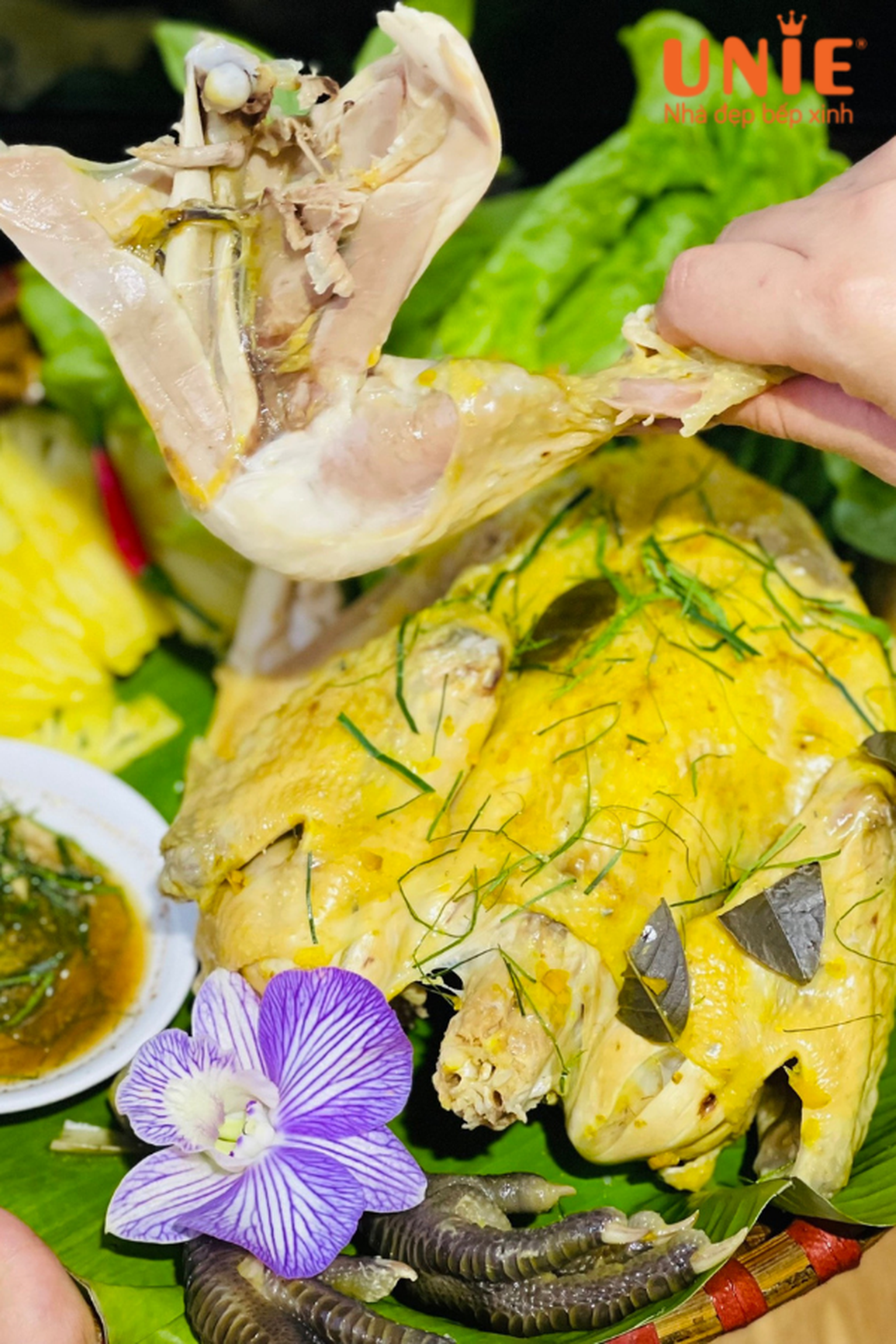 Nồi chiên hơi nước Unie lần đầu ra mắt thị trường gia dụng Việt - 4 Nồi chiên hơi nước Unie lần đầu ra mắt thị trường gia dụng Việt - 4
