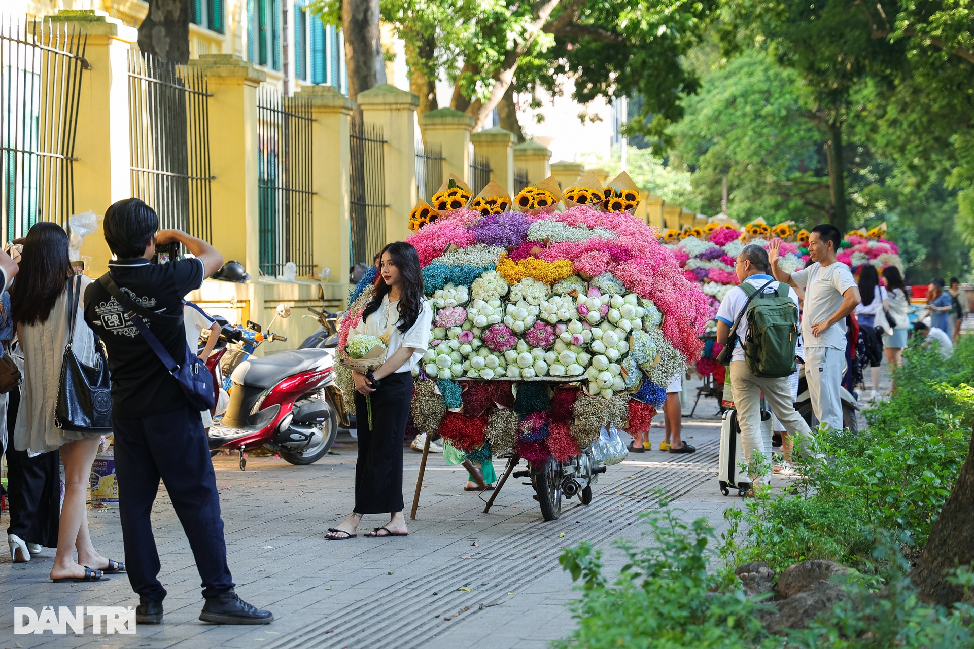 Loạt cây cổ thụ ở các điểm check-in tại Hà Nội đổ gục vì bão gây tiếc nuối - 9