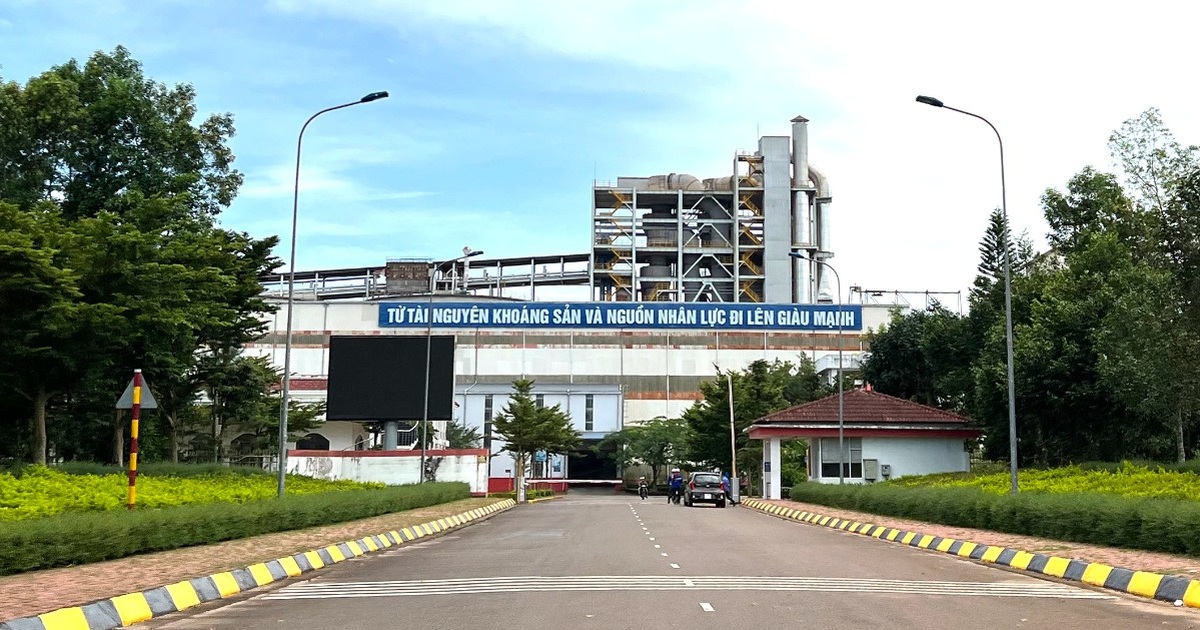 dantri.com.vn