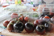 Cà chua đen chocolate 180.000 đồng/kg được săn lùng