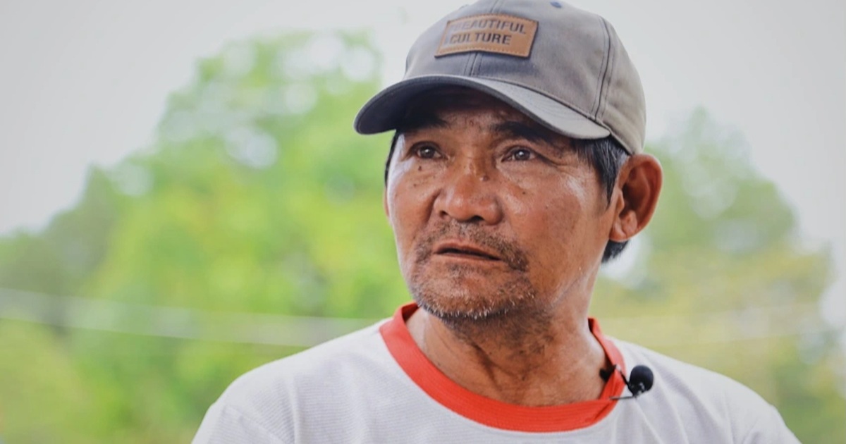 dantri.com.vn