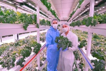 Đọc bài viết trên Facebook, chàng trai bỏ việc làm nông trại kiếm triệu USD